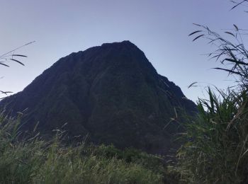 Tocht Stappen Salazie - Piton d'Anchain - Photo