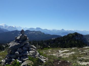 Tocht Stappen Fillière - Tete du Parmelan - Photo