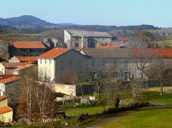 Excursión Senderismo Olloix - Olloix_Gorges_Vallee_Monne - Photo