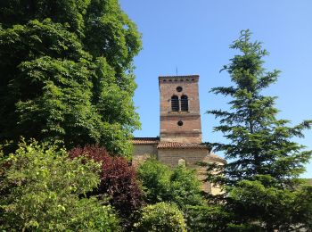 Randonnée A pied Monthieux - Observatoire sur l'Étang Grange Volet - Photo