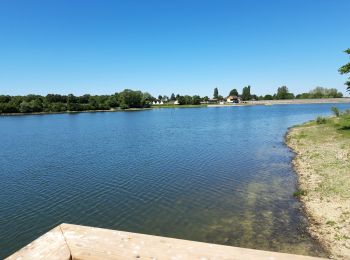 Tour Wandern Valigny - étang de goule - Photo