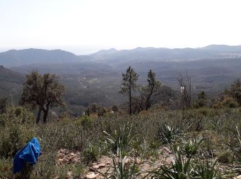 Tour Wandern Fréjus - Mont Vinaigre par Colle Douce - Photo