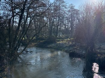 Randonnée Marche Bayeux - Bayeux - Photo