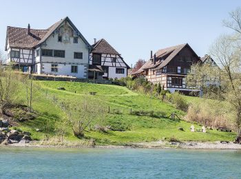 Excursión A pie Stein am Rhein - Uferrundweg Stein am Rhein - Photo