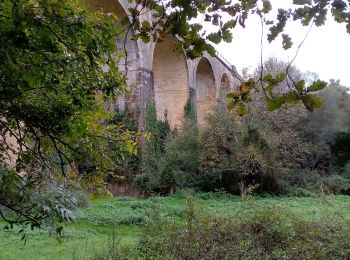 Tocht Stappen Pays de Belvès - Salles de Belvès 15,7km - Photo