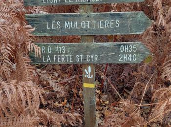 Excursión Senderismo Ligny-le-Ribault - ligny Villeny - Photo