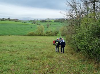 Percorso Marcia Vianne - ARAV  Vianne - Photo