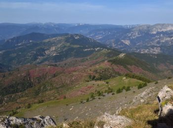 Tocht Stappen Péone - Dôme de Barot - Photo