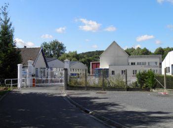 Randonnée A pied Eu - Chemin des Étangs - Photo