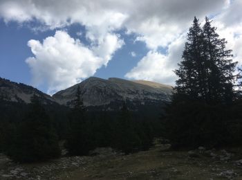 Tocht Stappen Saint-Agnan-en-Vercors - Grand Veymont par pré râteau  - Photo