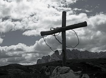 Trail On foot Cortina d'Ampezzo - (SI B05) Albergo Rifugio Ospitale - Misurina - Photo