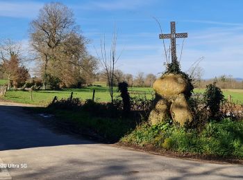 Tocht Stappen Condat-sur-Vienne - Condat s/v - Photo