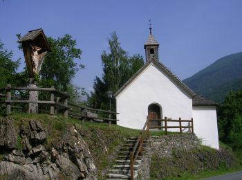 Trail On foot Gemeinde Virgen - AT-315 - Photo