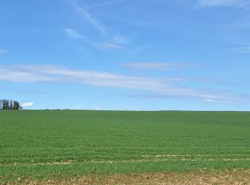 Trail Walking Waremme - Waremme ( autour de la vallée du Geer) - Photo