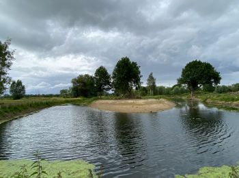 Tour Wandern Zemst - Eppegem 6,9 km - Photo