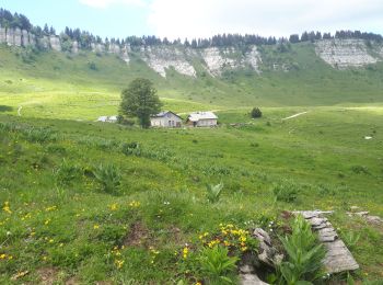 Tour Wandern Engins - Circuit pas de la Lose, du Tracollet, de l'Ours avec un retour par le passage  de la Grande Combe - Photo