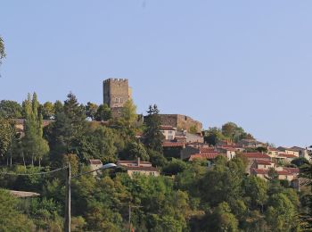 Randonnée A pied Montaigut-le-Blanc - Le Sentier de la Gaillarde - Photo