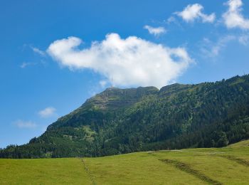 Tour Zu Fuß Küssnacht (SZ) - Seebodenalp - Altruodisegg - Holderen - Seebodenalp - Photo