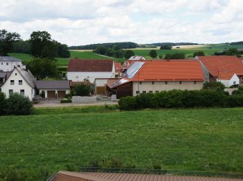 Tour Zu Fuß Polsingen - Rundwanderweg Polsingen 24 - Photo