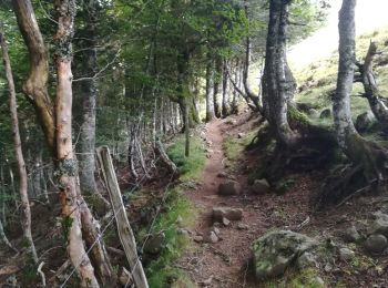 Excursión Bici de montaña Le Falgoux - Le Falgoux - Pas de Peyrol - Photo