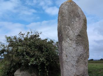 Tocht Stappen Saint-Pabu - St Pabu - Photo