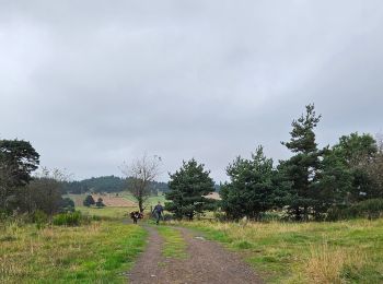 Tour Wandern Le Bouchet-Saint-Nicolas - STEVENSON Le Boucher St Nicolas à Pradelles - Photo