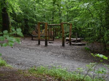 Tocht Te voet Onbekend - Rundwanderweg Königstuhl 4: Königstuhl-Rundweg - Photo