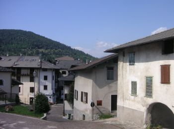 Percorso A piedi Calceranica al Lago - Percorso Minatore - Photo