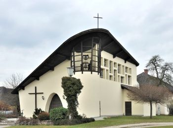 Tocht Te voet Schlierbach - Kremstalweg - Photo