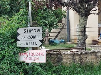 Tocht Stappen Castelnaud-la-Chapelle - castelnau-cénacfait - Photo
