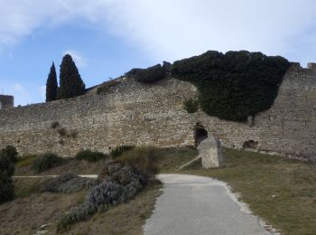 Randonnée Marche Rochefort-en-Valdaine - Le Colombier Montjoyer Citelle Rochefort 19km - Photo