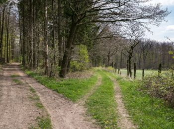 Randonnée A pied Schieder-Schwalenberg - Wanderweg A6 (bei Schwalenberg) - Photo