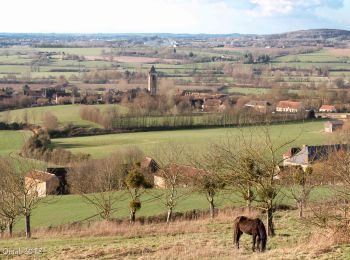 Randonnée Marche Val-au-Perche - Le Theil-sur-Huisne (Val-au-Perche) - Saint-Cyr-la-Rosière 11 km - Photo