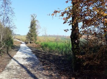 Percorso Bicicletta Libramont-Chevigny - voie lente libramont chevigny amberloup gpx - Photo