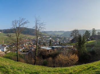 Tour Zu Fuß Altbüron - Altbüron - Kaseren - Photo