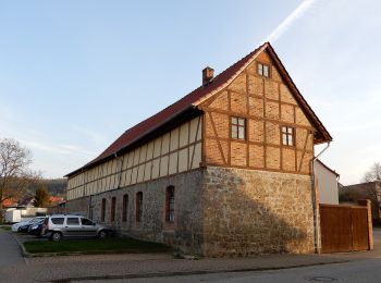 Trail On foot Thale - Teufelsmauer Stieg - Photo