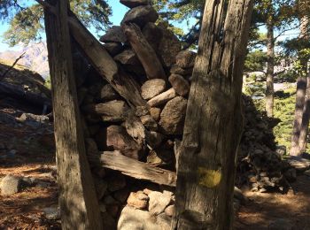 Tour Wandern Albertacce - Lac nino  - Photo