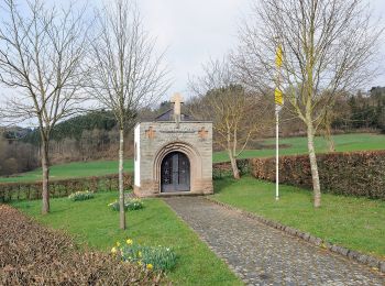 Tocht Te voet Kiischpelt - Via Botanica - Photo
