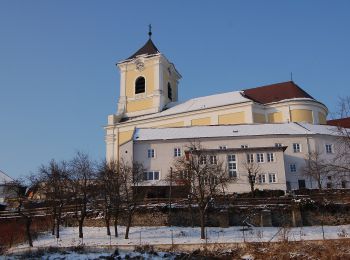 Tocht Te voet Gemeinde Kirchberg am Wechsel - Panorama Wanderweg (Kirchberg a.W.) - Photo