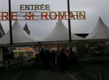 Randonnée Marche Rouen - 20241107-Le Pont Flaubert - Photo