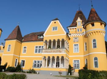 Tocht Te voet Ehrenhausen an der Weinstraße - Ehrenhausen 2 - Photo