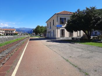 Trail On foot Quarona - Monte Tovo - Photo