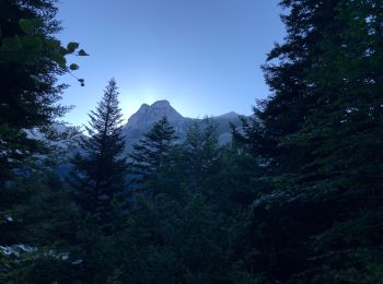 Randonnée Marche Tréminis - Le col de La Croix - Photo