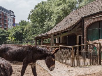 Tour Wandern Stadt Brüssel - Laeken - Schaerbeek - Photo