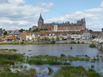 Excursión Senderismo Briare - de Briare au camping de Gien - Photo