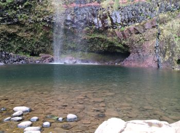 Tocht Stappen Calheta - Levada do Aletrim - Photo