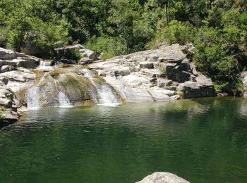 Tour Wandern Pied-de-Borne - eau - Photo