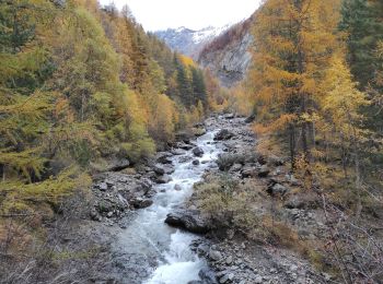 Trail Walking Champoléon - Village de Méollion.26/10/20. - Photo