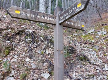 Excursión Senderismo Savoillan - Cabane de Pié Gù - Photo