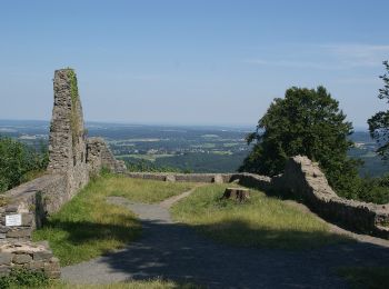 Excursión A pie Bad Honnef - Rheinsteig-Zuweg Bad Honnef (Nord) - Photo